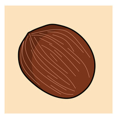 vector illustration of a coconut