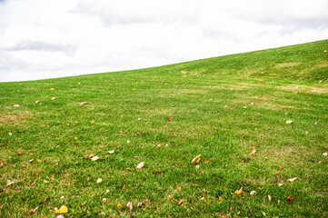 Green grassy hill under cloudy sky creates peaceful natural scenery. Open meadow slope with fresh...