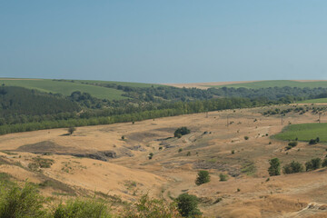 Fototapeta premium characteristic terrain of Dobruja, Bulgaria, showcasing the region's unique blend of agricultural land and rolling hills. In foreground, the dry, sun-baked hills are covered in golden, parched grass.