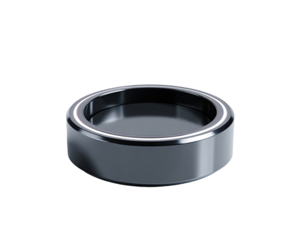 Dark gray ring, inner light reflective surface