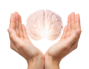 Realistic 3D Brain as Glowing Orb Held in Hands, Isolated