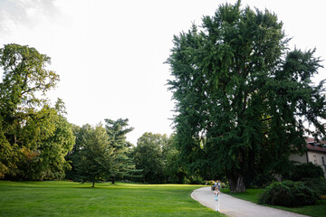 Beautiful lush green park scenery in Lancut, Poland under clear sky