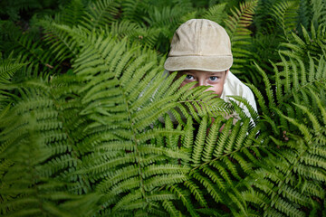 Child exploring nature among lush ferns in Lancut, Poland forest