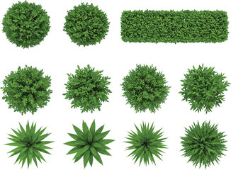 Top view vector illustration of various green bushes, shrubs, and hedge elements for landscape design, garden planning, architecture, nature projects, and outdoor decoration visuals.