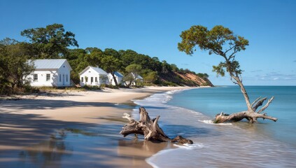 Picturesque beachfront cottages line a tranquil shoreline, with a weathered driftwood log stretching into the turquoise ocean, bathed in a brilliant sunny day.