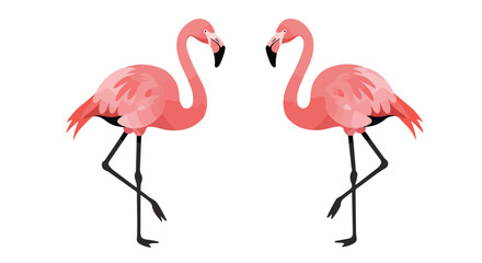 Obraz premium Two pink flamingos are standing on white background