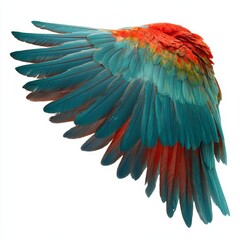 Obraz premium A close-up shot of the vibrant wing of a macaw, showcasing its stunning plumage with shades of blue and red.