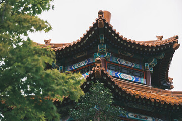 Fototapeta premium 中国庭園 燕趙園、中国の庭園と歴史的建造物を模様した建物、鳥取、日本