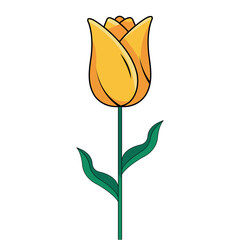 yellow tulip flower vector design isolated on white background