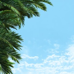 Tropical sky view, framed by palm fronds, evokes a sense of relaxation. The sun casts a warm glow