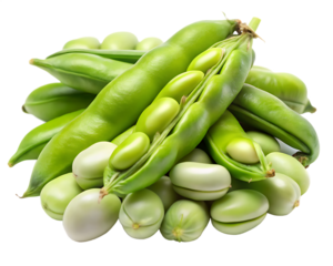 Pile of fresh fava beans and pods isolated on transparent background