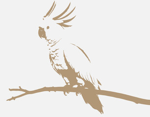 Cockatoo bird Silhouette digital Art, Intricate Powerful and Ready for Print or Web, Sharp Details. Strong Identity. Timeless Design
