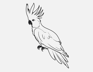 Cockatoo bird Silhouette digital Art, Intricate Powerful and Ready for Print or Web, Sharp Details. Strong Identity. Timeless Design