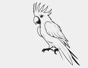 Cockatoo bird Silhouette digital Art, Intricate Powerful and Ready for Print or Web, Sharp Details. Strong Identity. Timeless Design