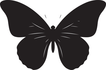Black Silhouette of a Butterfly with Detailed Wings insect