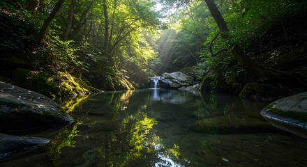 Obraz premium Serene Forest Pool: Tranquil Waterfall Reflection in Lush Green Nature