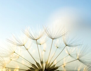 Delicate dandelion seeds, soft light, and a gentle breeze create a tranquil, airy composition against a pale blue sky.