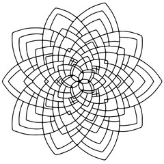 Obraz premium Geometric Floral Mandala Design