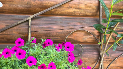floral arrangement in garden, romantic atmosphere