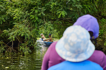 People kayaking on a calm river surrounded by lush green trees. Adventure and outdoor recreation in...