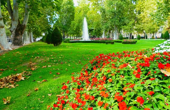 City park with trees fountain and red flowers in full bloom, Zagreb, Croatia