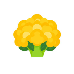 A modern element illustration in vector and EPS format. Minimalistic 2D flat icon featuring a yellow cauliflower, clean vector design, simple illustration style, isolated on a white background, EPS 
