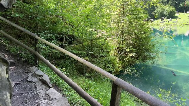 Crystal-clear Blausee lake in Switzerland, where the water is so transparent you can see fish swimming below. Pristine alpine nature, peaceful atmosphere, and stunning natural beauty. Kandergrund 