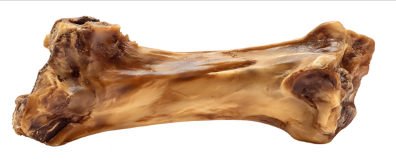 Beef bone for dogs isolated on a white background with a clipping path Fully in focus Realistic photograph