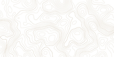 Topographic map lines, contour background. Background of the topographic map. Image grid geographic relief topographic contour line maps cartography texture