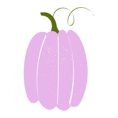 vector illustration of a pink pumpkin