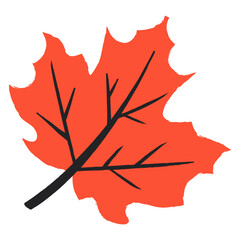 maple leaf