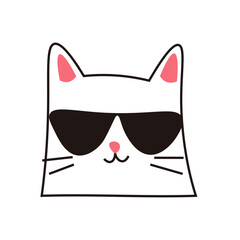 cat in sunglasses