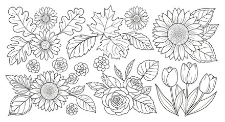 Assortment of Beautiful Flowers and Leaves in Outline Drawing Style including Sunflowers, Roses, and Oak Leaves on an Isolated White Background