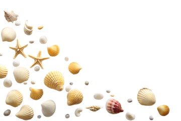 Natural seashells, delicate starfish, and smooth ocean pebbles form a serene coastal border on a crisp white background, perfect for summer designs