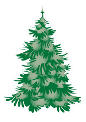 A Christmas tree (fir tree) without decorations