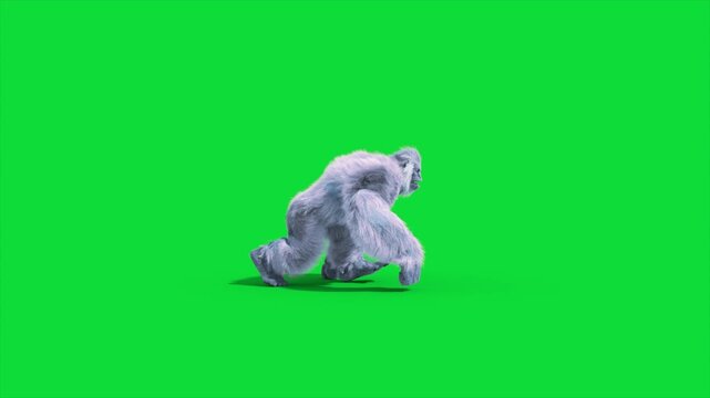Green Screen Yeti, Gorilla, Snow Monster Walks Side 3D Rendering Animation CGI 4K Fur