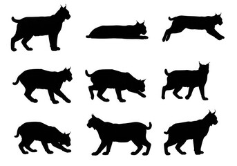 Fototapeta premium Set of black bobcat silhouettes on white background, each in unique pose including standing tall, reclining flat, leaping, crouching low, prowling forward, and twisting body sideways minimalist design