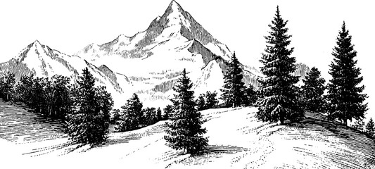 Vintage mountain scene with evening glow and pine trees for nature design