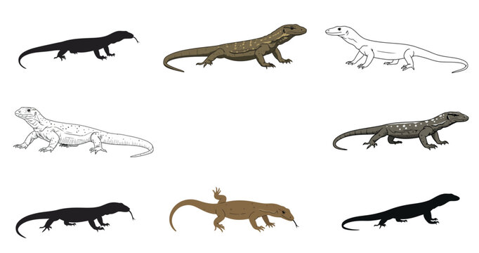 Diverse illustrations of monitor lizards showcasing varied poses and styles on white backdrop