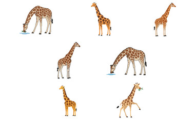 Illustrative Giraffe Set Displaying Various Actions on a Plain White Scene