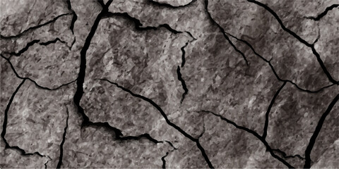 Dry, cracked earth texture and the rough pattern of tree bark create a natural, arid abstract