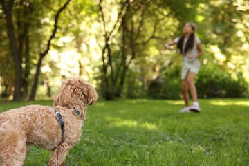 Little dog and girl in morning park, selective focus
