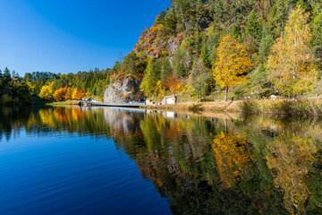 Italy, Trentino, Fondo, Emerald Lake - 24 October 2021 - Autumn foliage is reflected in Emerald Lake