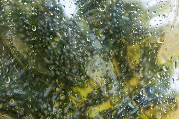 Rain Drops on a Window