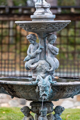 Obraz premium Symmetrical Garden Fountain Surrounded by Greenery 