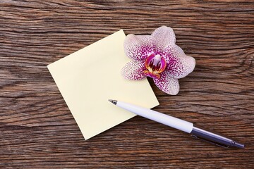 Yellow sticky note with an orchid flower and a pen isolated on a wooden background. Top view. Greeting card with copy space. Business concept.