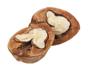 Walnut isolated on white background.