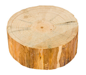 Wood block, tree trunk cut isolated on white background.