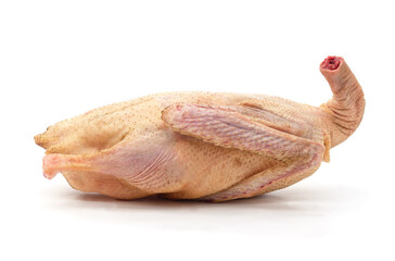 Raw duck carcass.