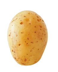 potato isolated on white background